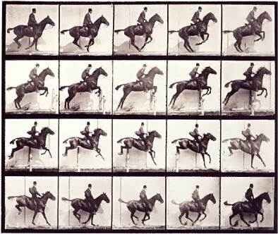 Decomposition-du-mouvement-d-un-cheval-au-galop--1878.jpg